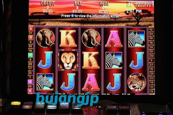 bujangjp Live Casino Tables Built for Indonesia